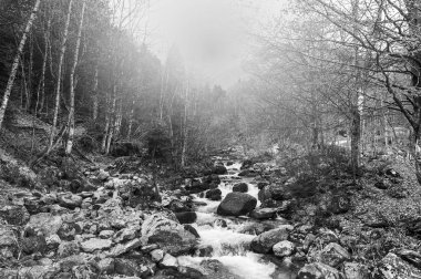 Piyemonte İtalyanca Alps akışında üzerinden sabah sis. Gündoğumu nehirde ile orman Vadi manzarası. Siyah beyaz resim