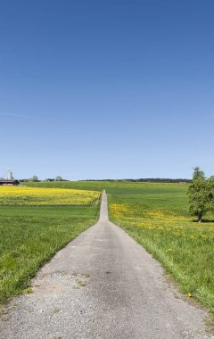 Mera İsviçre arasındaki dar asfalt yol. İsviçre yatay, çayırlar 