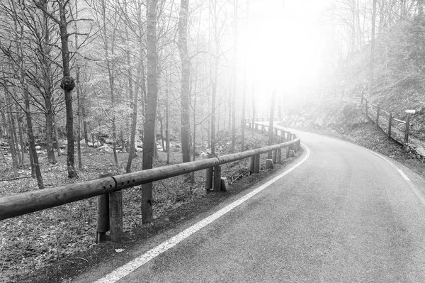 Niebla Mañana Sobre Camino Asfalto Los Alpes Italianos Piamonte Vista — Foto de Stock