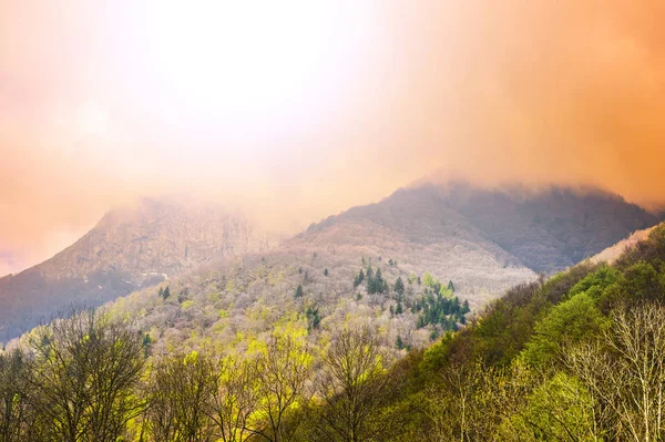 Morgennebel Den Italienischen Alpen Blick Auf Das Bergwaldtal Bei Sonnenaufgang — Stockfoto