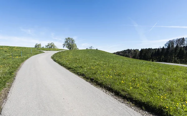 Sveitsin Laidunten Välinen Kapea Asfalttitie Sveitsin Maisema Niityt — kuvapankkivalokuva