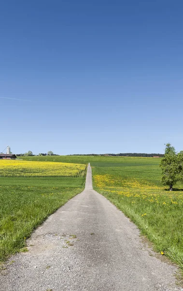 Mera İsviçre arasındaki dar asfalt yol. İsviçre yatay, çayırlar 