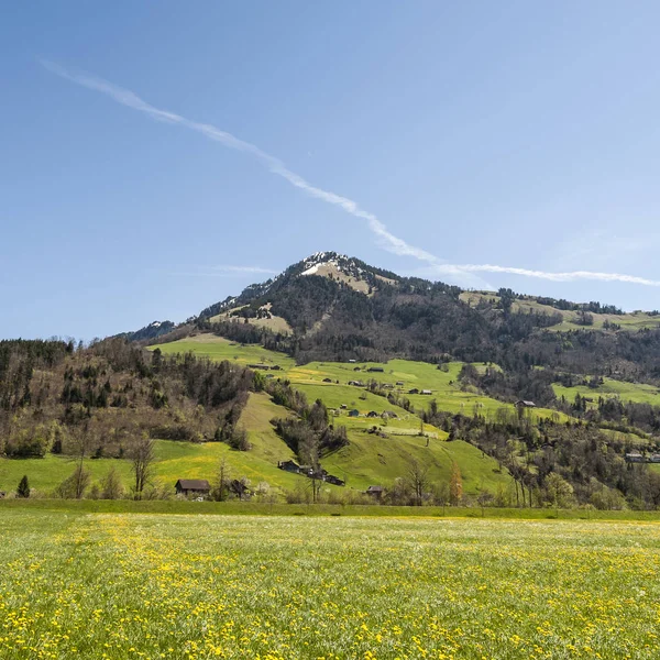 Agricultura Suiza Prados Florecientes Pastos Pueblo Suizo Rodeado Campos Diente — Foto de Stock