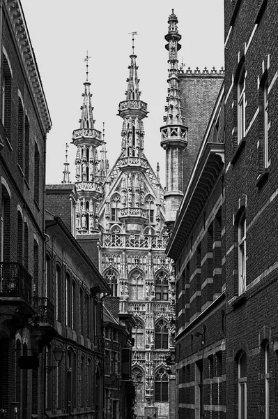 Leuven Capital Província Brabante Flamengo Bélgica Vista Uma Rua Com — Fotografia de Stock