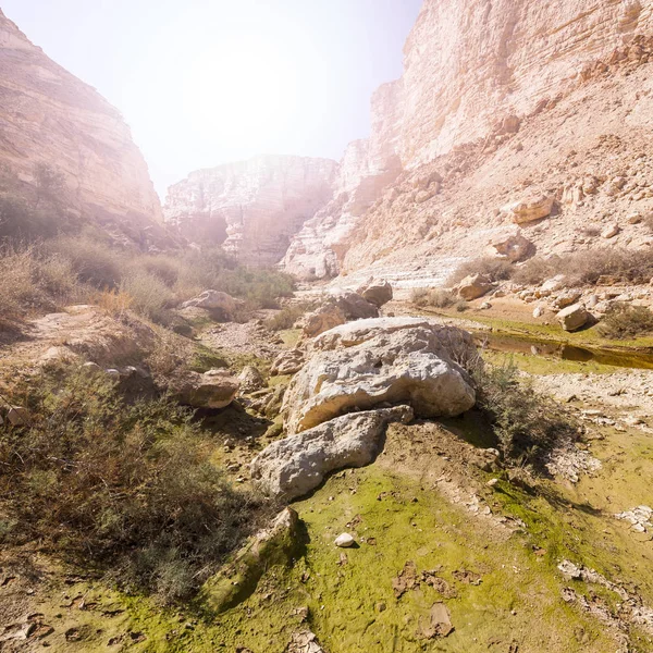 Rotsachtige Heuvels Van Negev Woestijn Israël Bij Zonsopgang Adembenemende Landschap — Stockfoto