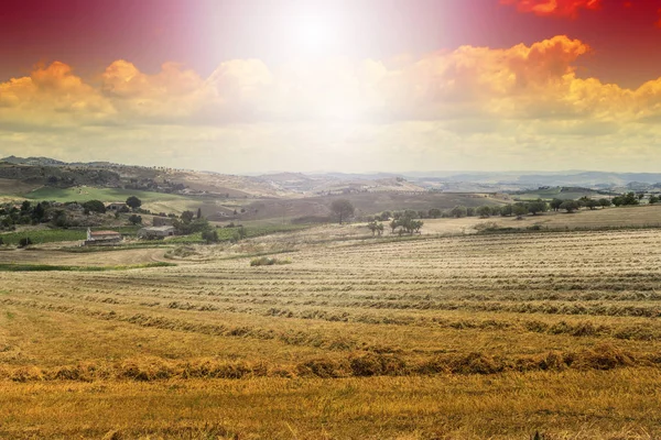 Pola Pszenicy Sycylii Zbiorach Sycylijski Krajobraz Wschodzie Słońca Wzgórza Skały — Zdjęcie stockowe