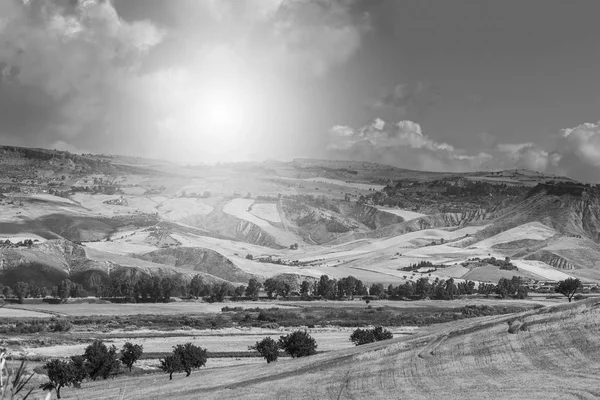 시칠리아에 필드입니다 목초지 햇빛에서 시칠리아 풍경입니다 흑인과 — 스톡 사진