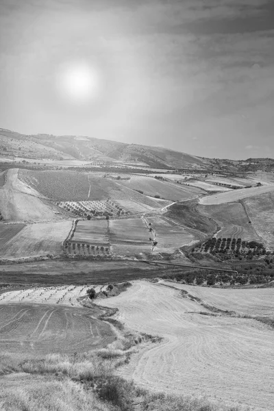 シチリア島の収穫後の麦畑 日の出の丘 牧草地や日光でシチリアの風景 黒と白の写真 — ストック写真