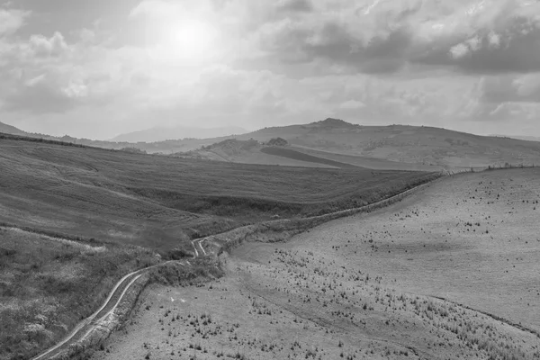 日の出 フィールド 牧草地 日光でシチリアの風景 白黒写真 — ストック写真