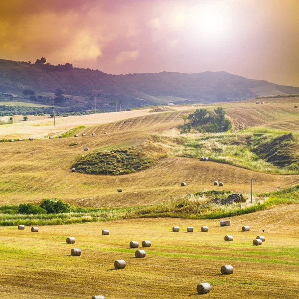 日の出シチリア丘の背景に麦畑 シチリア島で収穫後のわら俵風景します — ストック写真