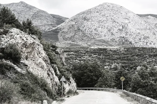 Camino Asfalto Sinuoso Europa Picos España Temprano Mañana —  Fotos de Stock