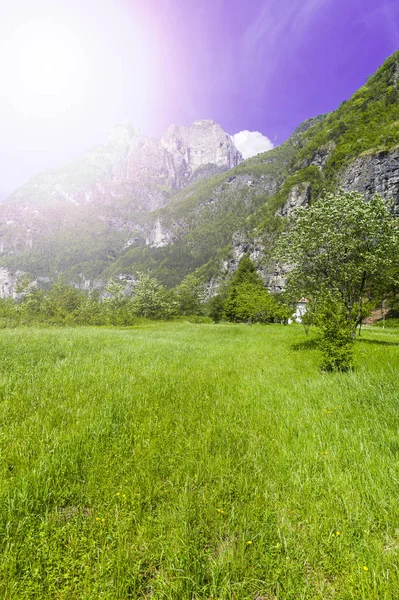 Ranní Mlha Italských Alpách Pohled Horské Pastviny Itálii Úsvitu — Stock fotografie