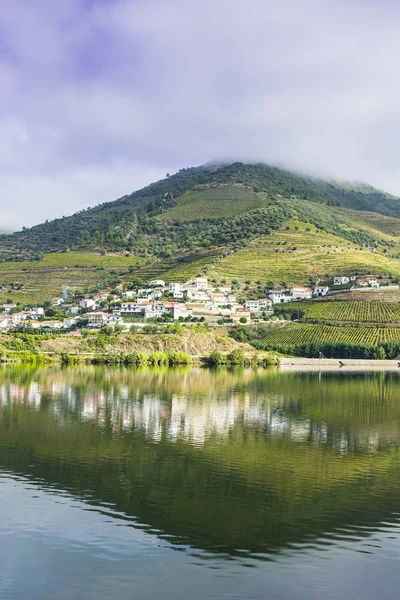 Vinodlingar Douroregionen Portugal Sevärdheter Den Portugisiska Landsbygden — Stockfoto