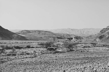 İsrail 'deki Negev Çölü' nün kayalık tepelerinde yalnızlık ve boşluk. Ortadoğu 'nun nefes kesici manzarası ve doğası. Siyah beyaz fotoğraf