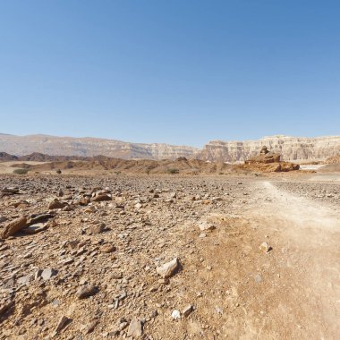 İsrail 'deki Negev Çölü' nün kayalık tepelerinin melankolik ve boşluğu. Ortadoğu 'nun nefes kesici manzarası ve doğası.