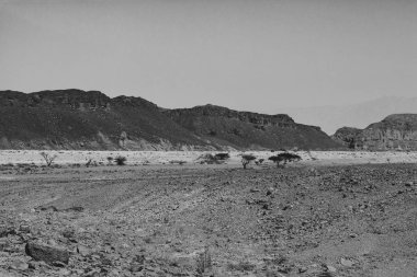 İsrail 'deki Negev Çölü' nün kayalık tepelerinde yalnızlık ve boşluk. Ortadoğu 'nun nefes kesici manzarası ve doğası. Siyah beyaz fotoğraf