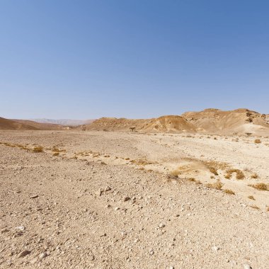 İsrail 'deki Negev Çölü' nün kayalık tepelerinin melankolik ve boşluğu. Ortadoğu 'nun nefes kesici manzarası ve doğası.