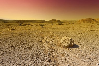 İsrail 'deki Negev Çölü' nün renkli kayalık tepeleri. Gün batımında Ortadoğu 'nun nefes kesici manzarası ve doğası