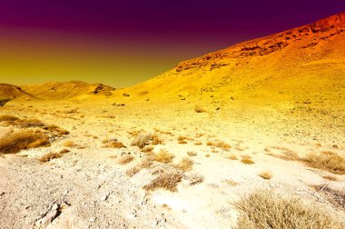 İsrail 'deki Negev Çölü' nün renkli kayalık tepeleri. Gün batımında Ortadoğu 'nun nefes kesici manzarası ve doğası