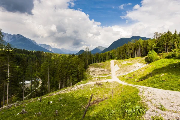 Rakouská Krajina Lesy Louky Pozadí Zasněžené Alpy Časných Ranních Hodinách — Stock fotografie