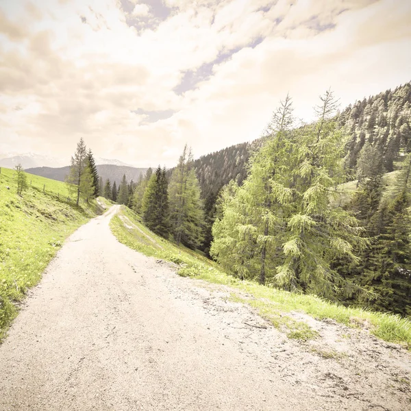 Kurvenreicher Feldweg Österreichischer Landschaft Mit Wäldern Feldern Weiden Und Wiesen — Stockfoto