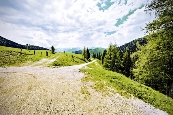 Sinuoso Camino Tierra Paisaje Austriaco Con Bosques Campos Pastos Prados — Foto de Stock