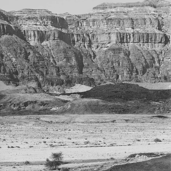 Srail Deki Negev Çölü Nün Kayalık Tepelerinde Yalnızlık Boşluk Ortadoğu — Stok fotoğraf