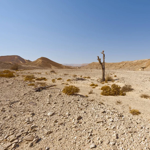 İsrail 'deki Negev Çölü' nün kayalık tepelerinin melankolik ve boşluğu. Ortadoğu 'nun nefes kesici manzarası ve doğası.