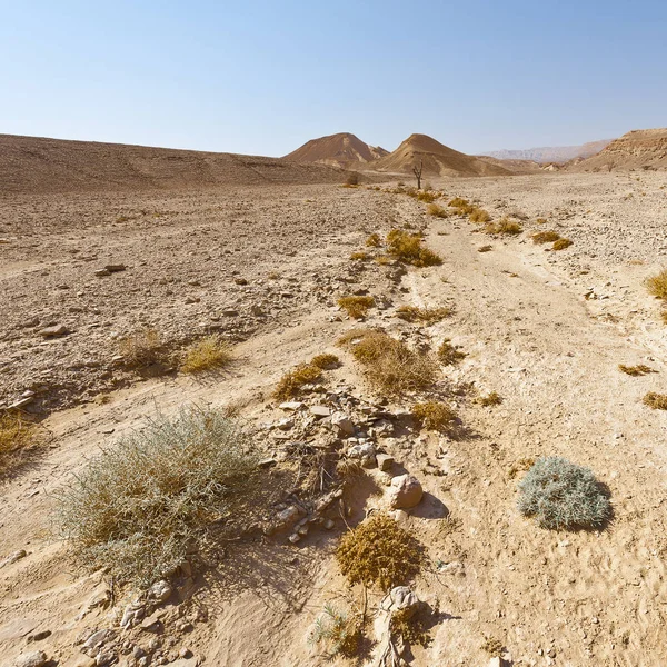 Melancholy Emptiness Rocky Hills Negev Desert Israel Breathtaking Landscape Nature — Stock Photo, Image