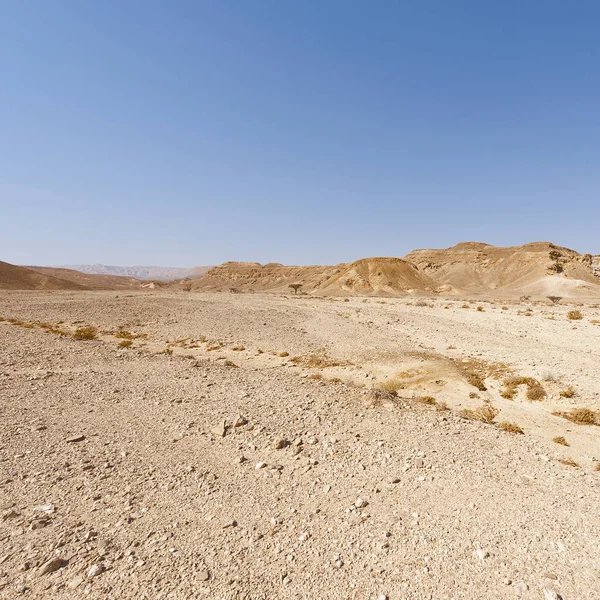 İsrail 'deki Negev Çölü' nün kayalık tepelerinin melankolik ve boşluğu. Ortadoğu 'nun nefes kesici manzarası ve doğası.