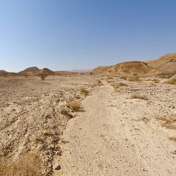 İsrail 'deki Negev Çölü' nün kayalık tepelerinin melankolik ve boşluğu. Ortadoğu 'nun nefes kesici manzarası ve doğası.