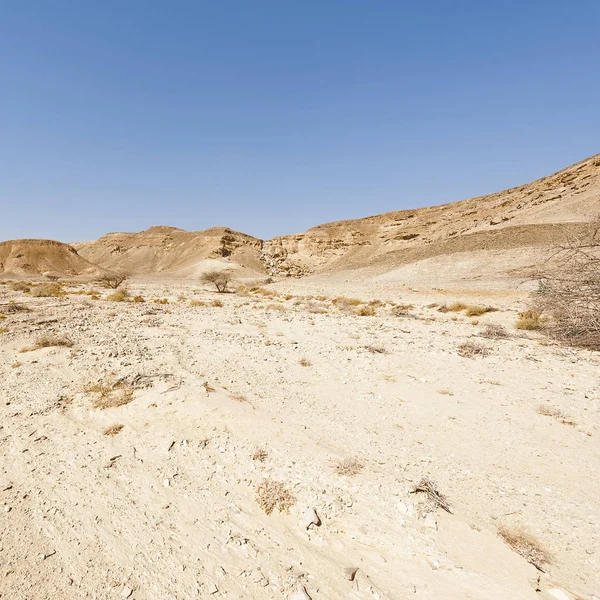 イスラエルのネゲヴ砂漠の岩だらけの丘の憂鬱と虚無 中東の息をのむような風景と自然 — ストック写真