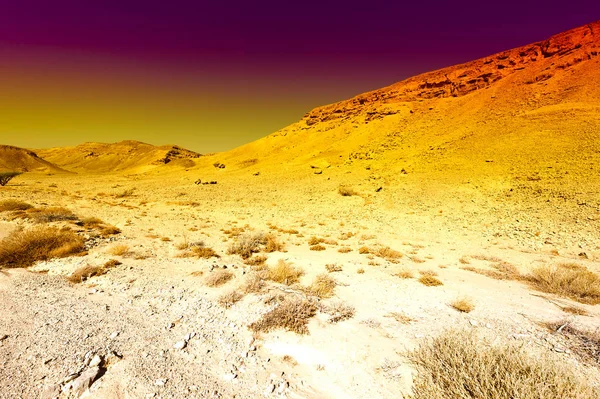 İsrail 'deki Negev Çölü' nün renkli kayalık tepeleri. Gün batımında Ortadoğu 'nun nefes kesici manzarası ve doğası