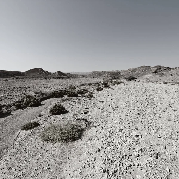 Soledad Vacío Las Colinas Rocosas Del Desierto Del Neguev Israel — Foto de Stock