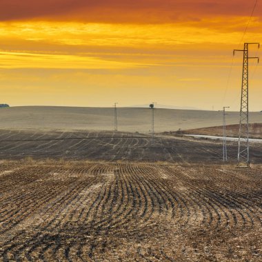 Zeytin koru ve güneş doğarken hasat sonra alanlarındaki İspanya. Elektrik hatları dikmesi İber Yarımadası'nın peyzaj üzerinde