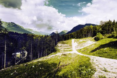Orman ve çayır sabah erken karla kaplı Alpler'de arka plan üzerinde Avusturyalı yatay. Tarım Avusturya, alanları ve otlaklar. Vintage tarzı 