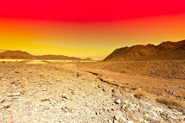 Srail Deki Negev Çölü Nün Kayalık Tepelerinin Öfkeli Renkleri Gün — Stok fotoğraf
