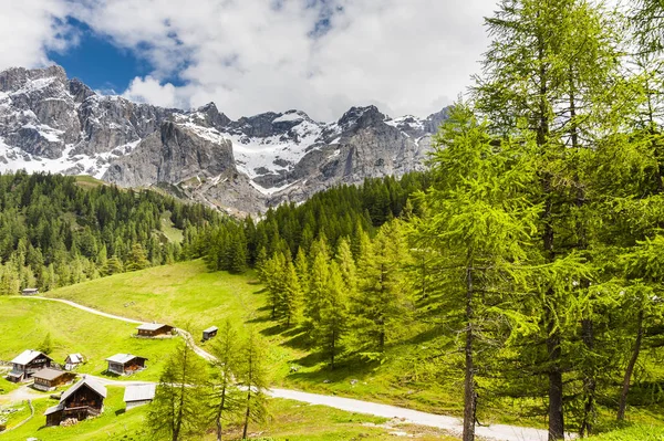 Oostenrijks Dorpje Omgeven Door Bossen Weiden Velden Weiden Achtergrond Van — Stockfoto