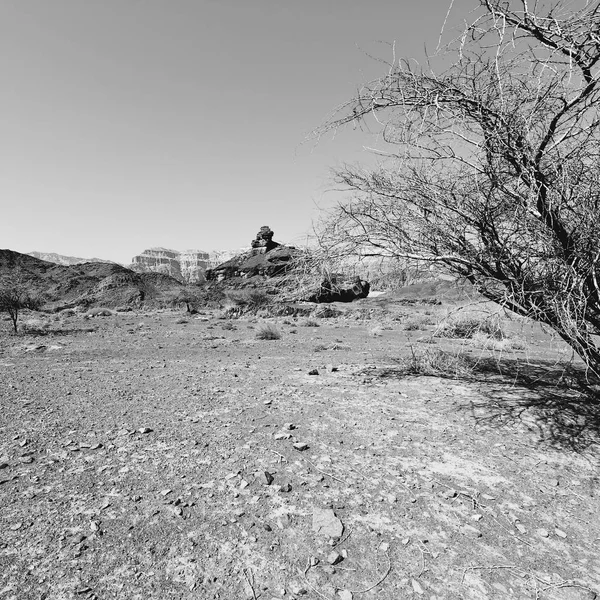 Samotność Pustka Skalistych Wzgórz Pustyni Negev Izraelu Zapierający Dech Piersiach — Zdjęcie stockowe