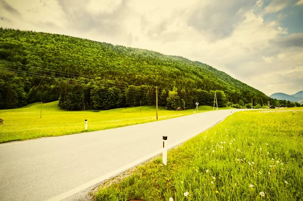 Camino Asfalto Paisaje Austriaco Con Bosques Campos Pastos Prados Fondo — Foto de Stock