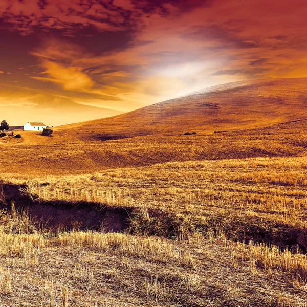 Ferme Sur Terrain Après Récolte Lever Soleil Espagne Paysage Couper — Photo