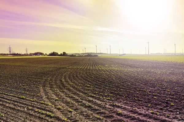 Plowed Fields Austrian Landscape Modern Wind Turbines Producing Energy Sunrise — Stock Photo, Image