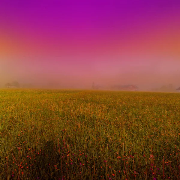 日没時に森林 フィールド 牧草地や牧草地とオーストリアの風景の上の朝の霧 — ストック写真