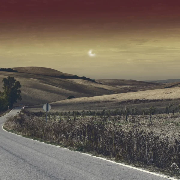 Ay ışığında hasat sonra alanlarındaki İspanya arasındaki asfalt yol. Nefes kesici manzara ve doğa İber Yarımadası'nın