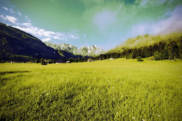 Paisaje Austriaco Con Bosques Prados Fondo Los Alpes Nevados Madrugada —  Fotos de Stock
