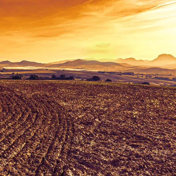 日の出に収穫した後のスペインのフィールド イベリア半島の息をのむような風景と自然 — ストック写真