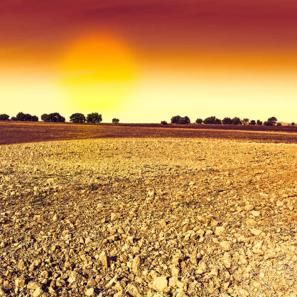 Campos Espanha Após Colheita Nascer Sol Paisagem Tirar Fôlego Natureza — Fotografia de Stock