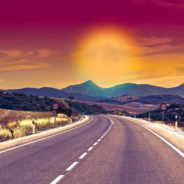 Asfaltweg Tussen Velden Spanje Het Oogsten Bij Zonsopgang Adembenemend Landschap — Stockfoto