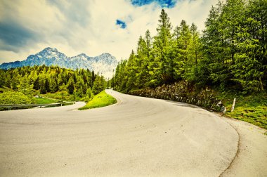 Ormanlar, alanları, otlaklar ve çayırlar Avusturyalı peyzaj asfalt yol. Vintage tarzı 