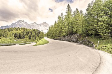 Ormanlar, alanları, otlaklar ve çayırlar Avusturyalı peyzaj asfalt yol. Vintage tarzı 